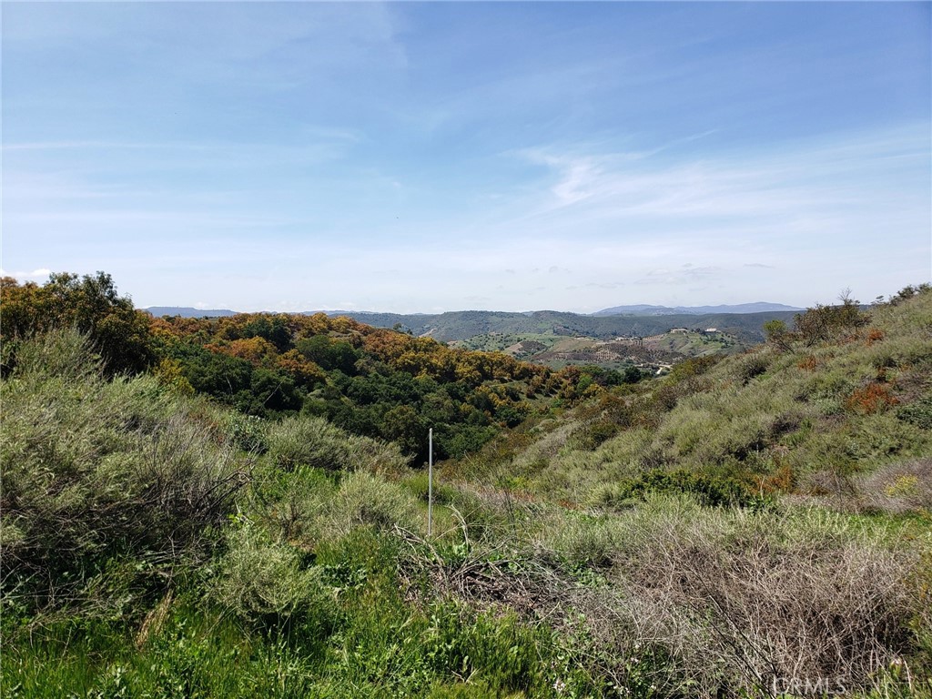 Panoramic views of De Luz hills and golf course is within walking distance. Oak lined entrance leads to rough cut pad that has potential to be a expanded for a large estate or for quite country get-away. Water district zone of benefit fees paid and county records indicate grading and house plans had been submitted in the past but current status is unknown. Great Property! Great Price!