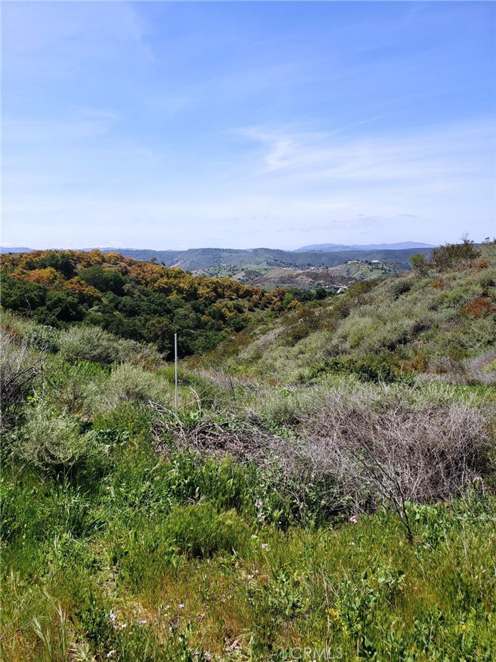 listing image 130721040160192403997
