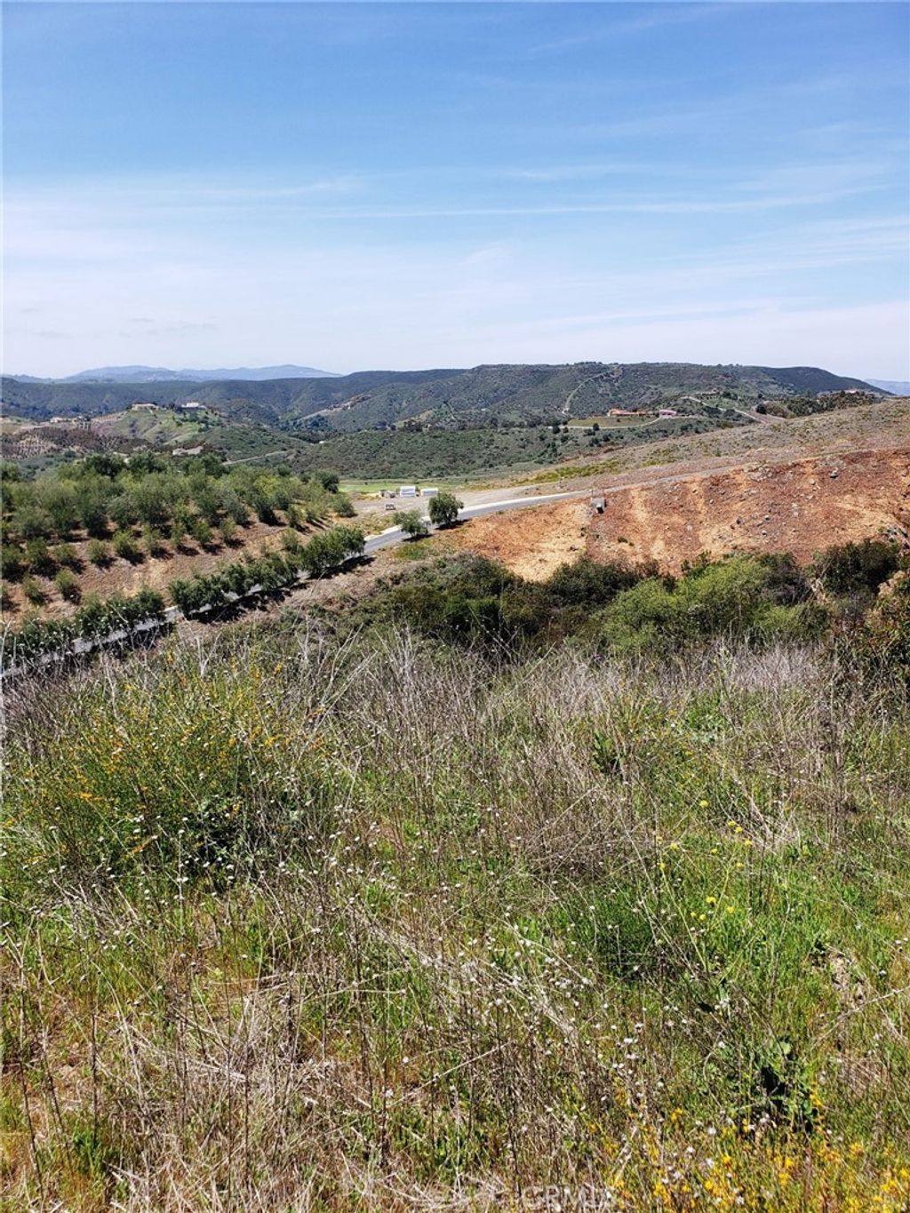 listing image 130723318089836927110
