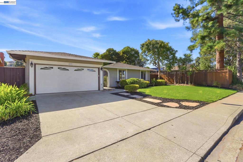 25 Tareyton Ct