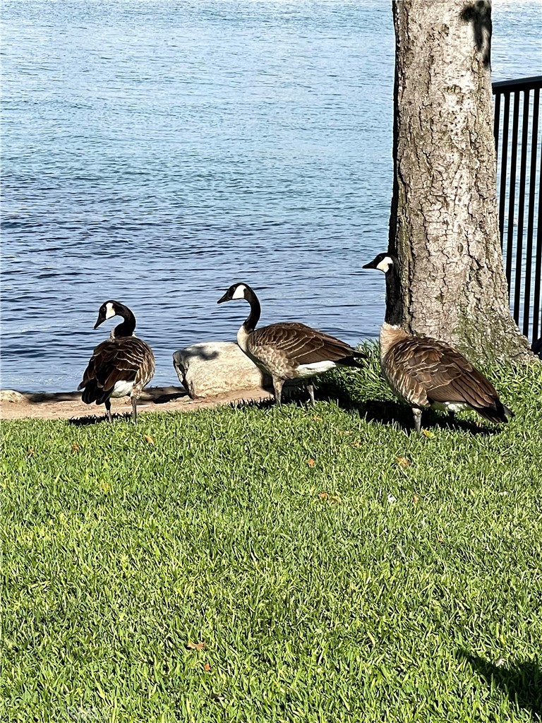 Willow Creek (WB) (WC) - Residential Lease