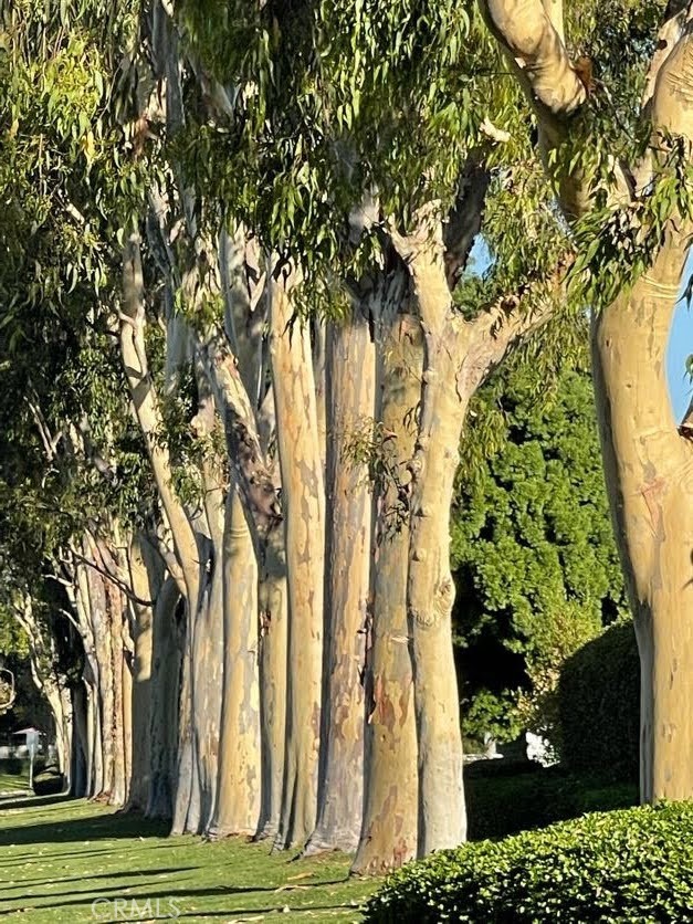 Willow Creek (WB) (WC) - Residential Lease