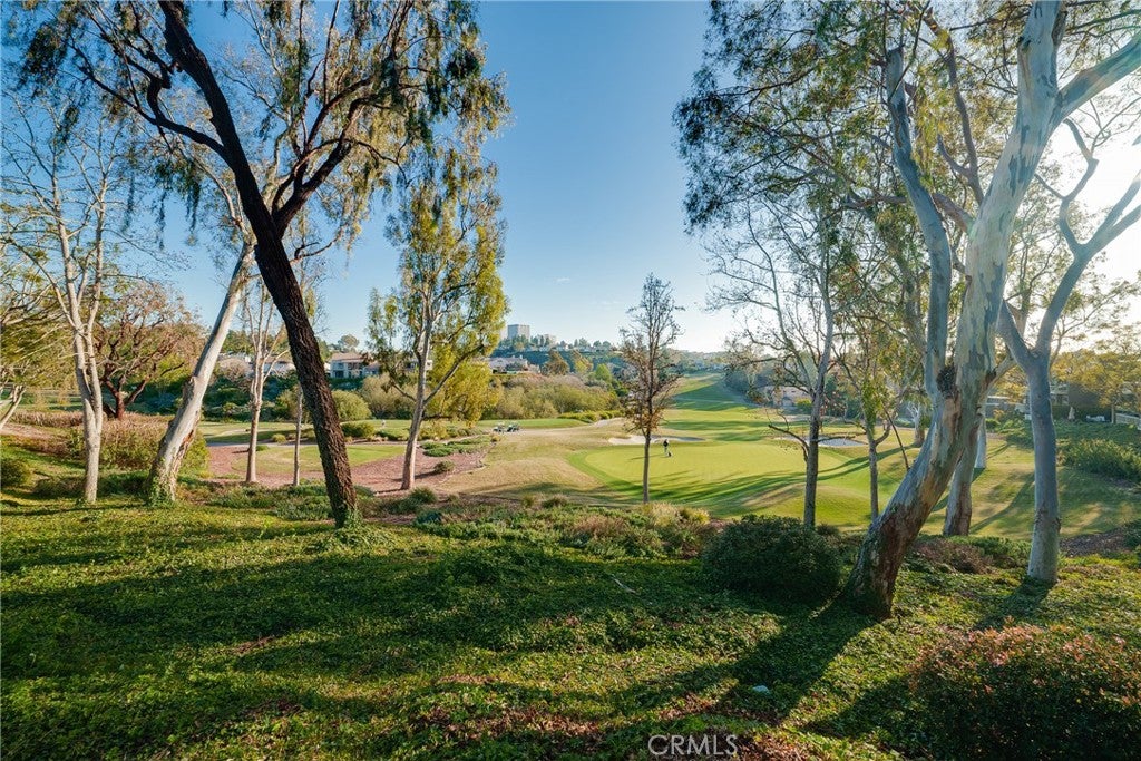 67 Sea Island Drive, Newport Beach CA 92660 - Photo 28