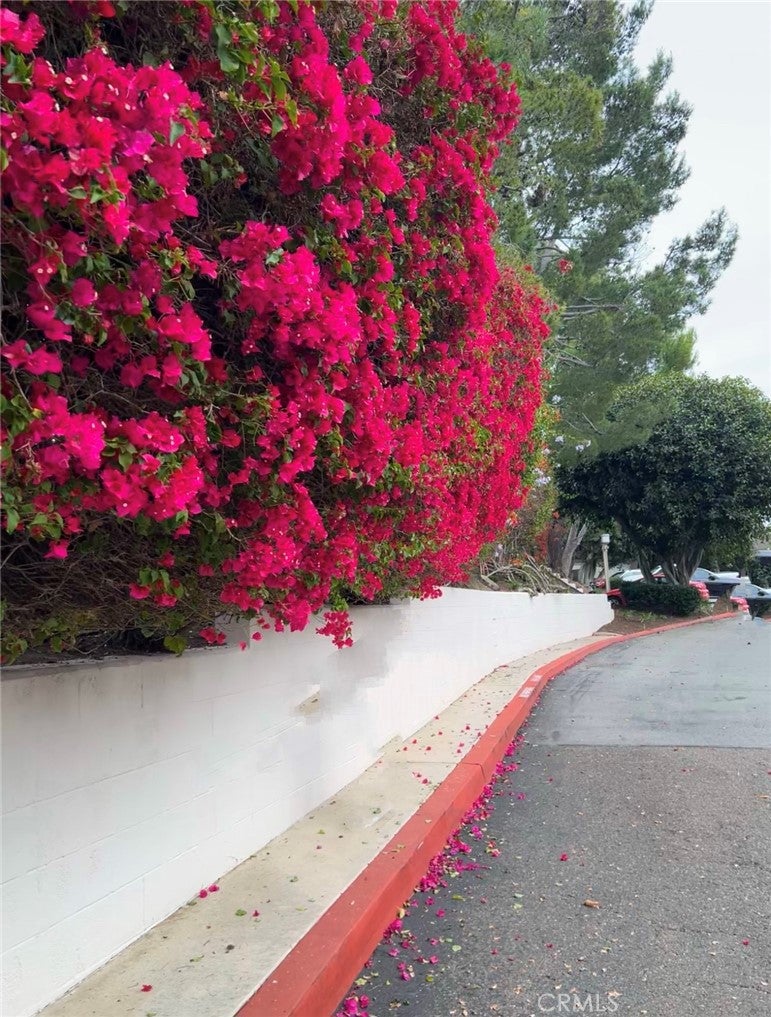 67 Sea Island Drive, Newport Beach CA 92660 - Photo 40