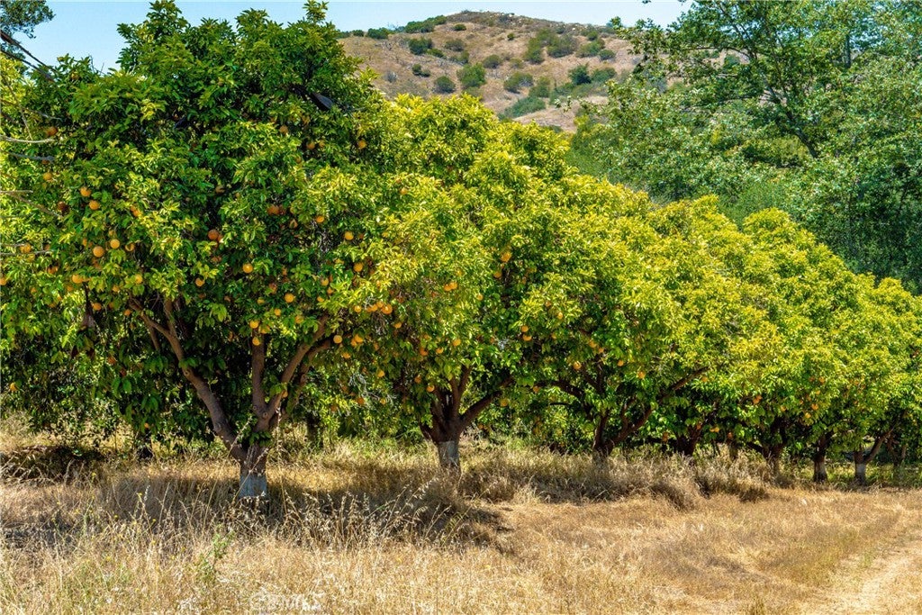26055 Avenida Del Oro
