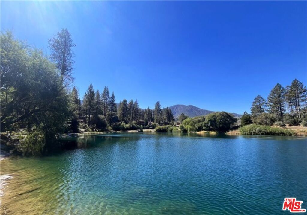 listing image 130721156538350353590