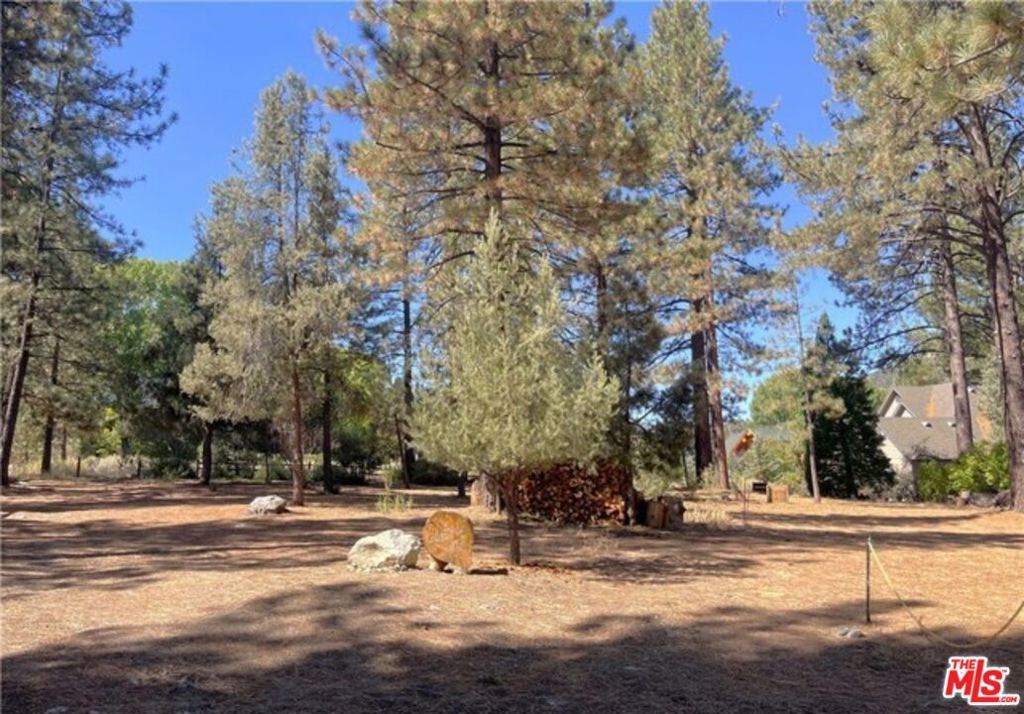 listing image 130728406556552052568
