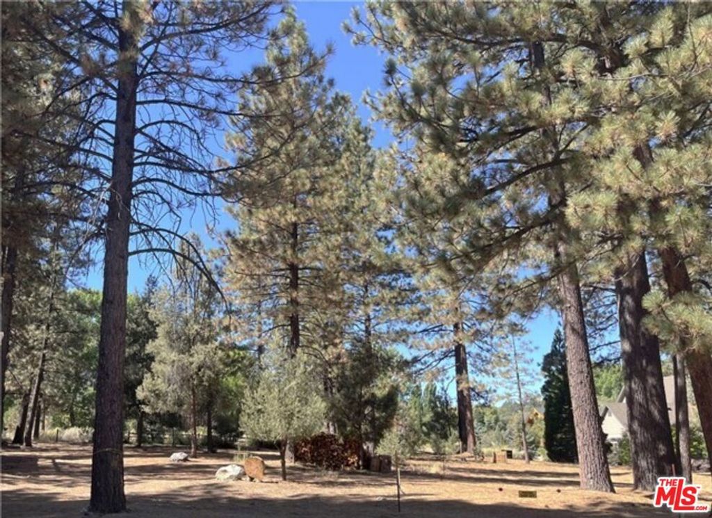listing image 130723547418618457963