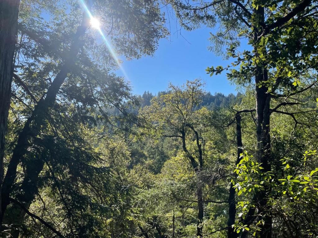 0 Love Creek