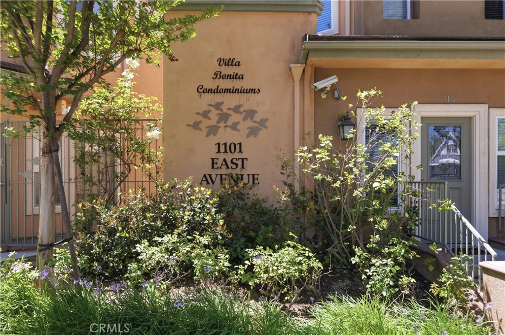 1101 East Avenue