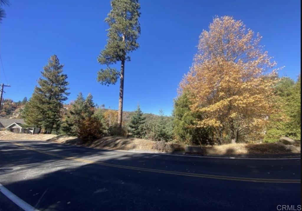 1036 Brentwood Drive