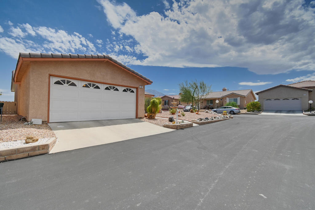 Desert Willow - Manufactured In Park