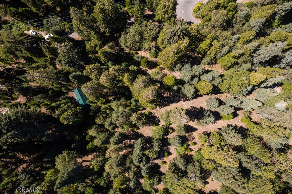 Twin Peaks (TWIN) - Residential