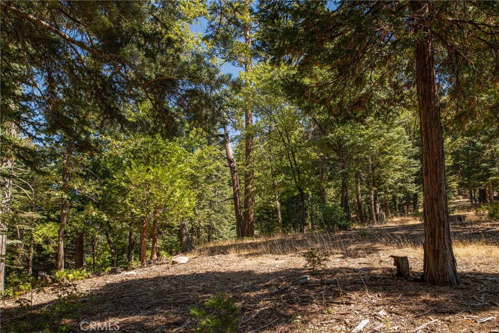 Twin Peaks (TWIN) - Residential