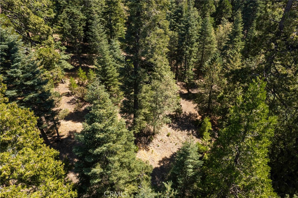 Twin Peaks (TWIN) - Residential