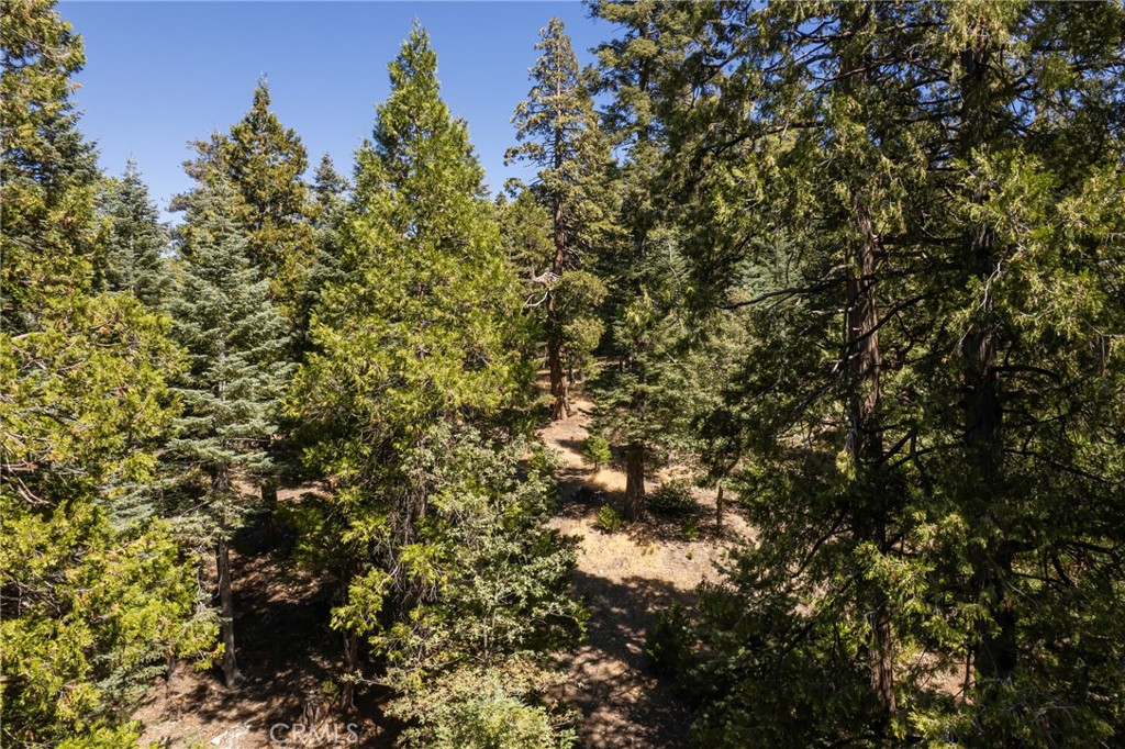 Twin Peaks (TWIN) - Residential