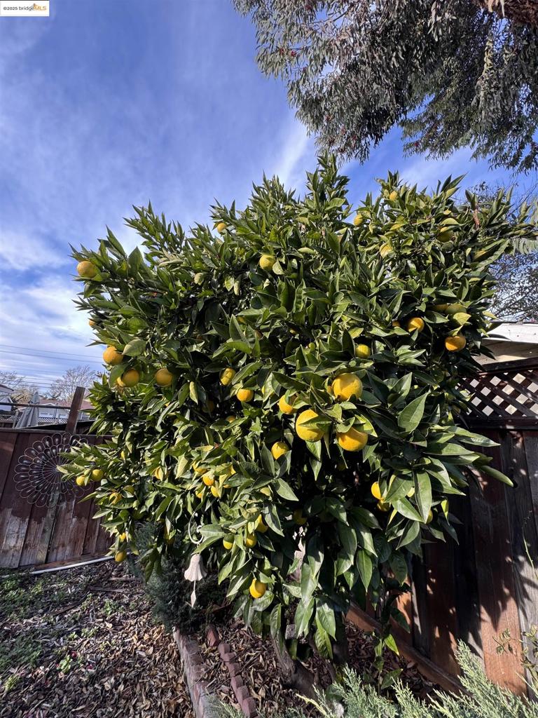 DUBLIN - Residential