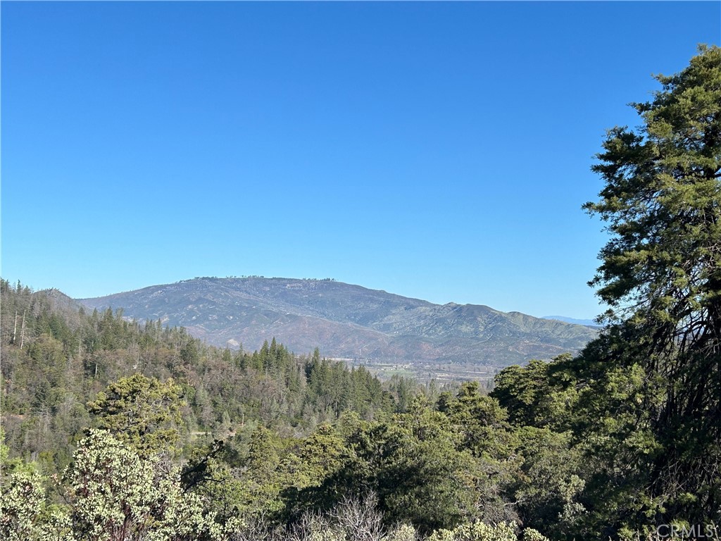 Enjoy complete peace and privacy just 10 minutes from town. This 146-acre property is a serene sanctuary with towering trees and cool creeks throughout the parcel. Although much of the land is rugged and steep, there are beautiful flat building sites where you can soak up the sun and take in the vast views. New and improved roads make the property more usable than ever. Owner just had lots of grading done and a large culvert installed, so you can easily drive over St.Mary's creek. There is 20,000 gallons of storage for water that can be filled from the creek or catchment. No other utilities on site, but there is great solar power potential. Hike up the mountain for a peak picnic, then down to the creek to dip your feet in and soak up the sounds. Rural Land zoning allows for a multitude of uses including residences and agriculture, and could also be a campground, off-road vehicle course, or resort with a Major Use Permit. Land loan available with 15% down for 15 years at 7-8%. There is an abundance of rest and recreation available here at your own private retreat!