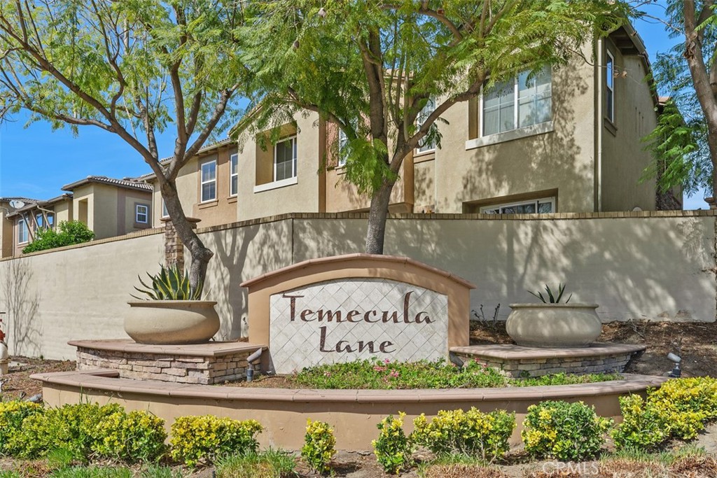 31207 Strawberry Tree