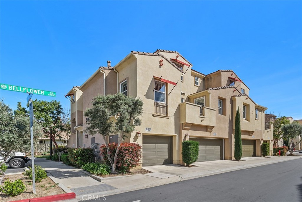 31207 Strawberry Tree