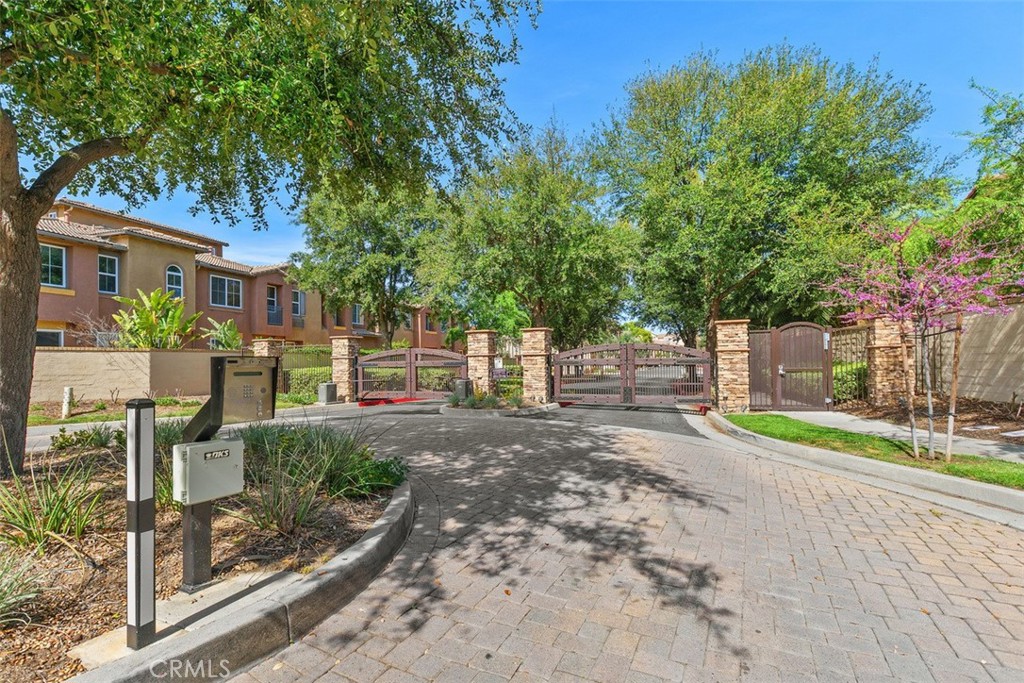 31207 Strawberry Tree