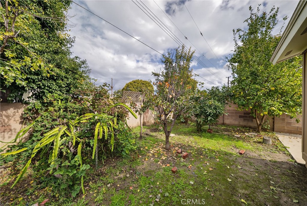 Other - Residential Lease