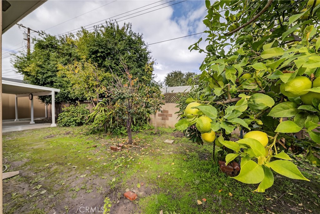 Other - Residential Lease