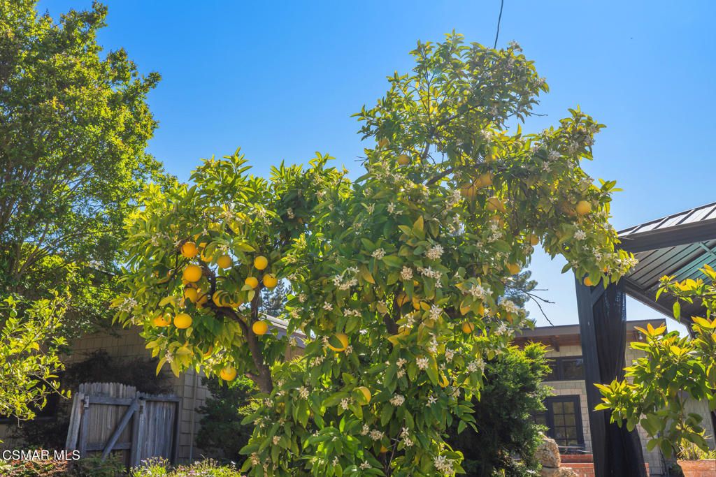 listing image 130724169824407198907