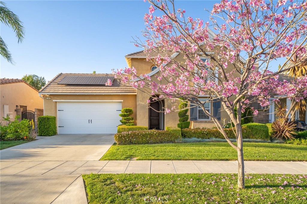 1347 Cole Lane