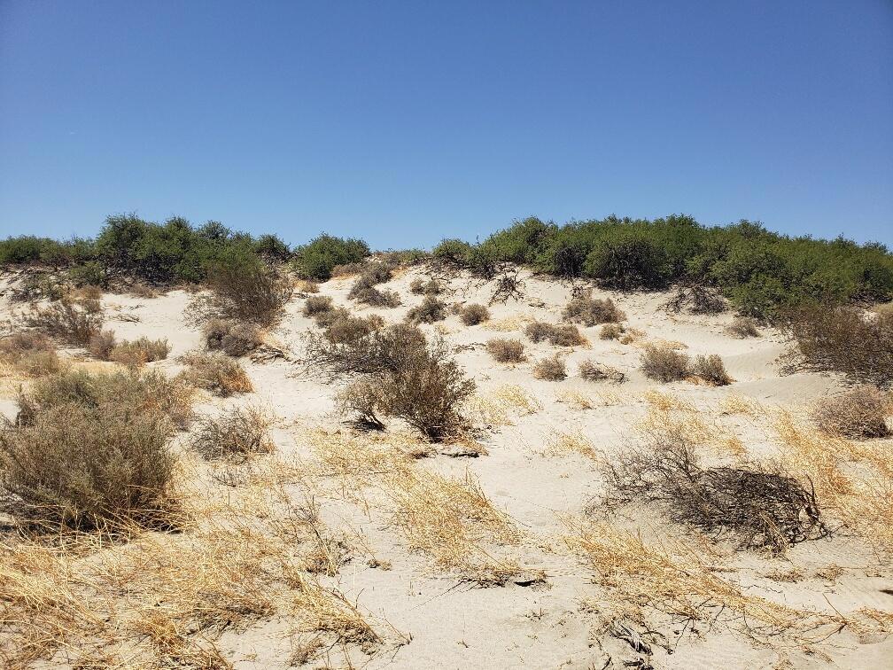 Not Applicable-1 - Land