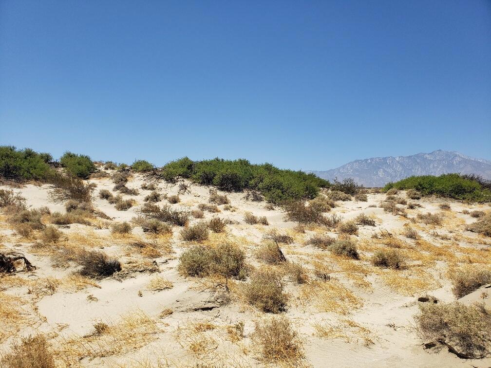 Not Applicable-1 - Land