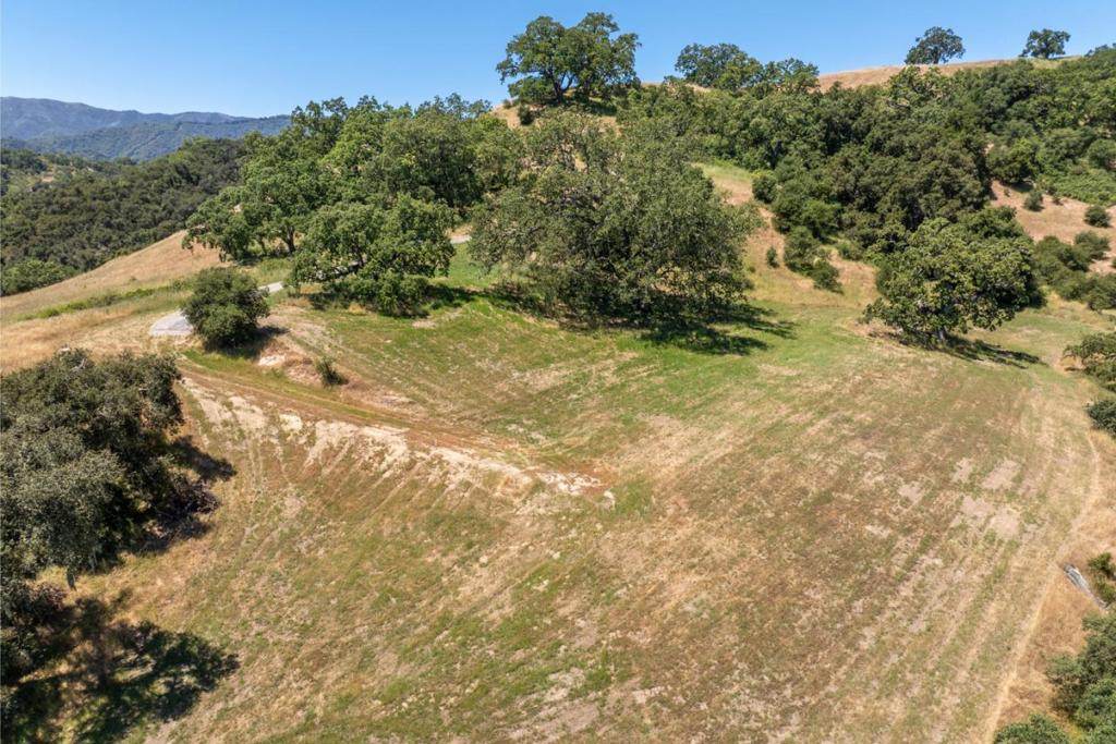 5 Black Mountain (Lot 247) Trail