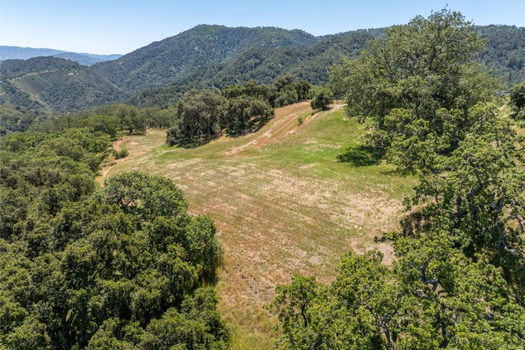 5 Black Mountain (Lot 247) Trail