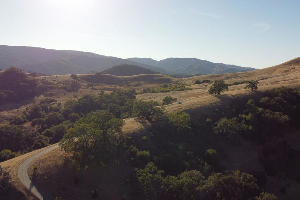 5 Black Mountain (Lot 247) Trail