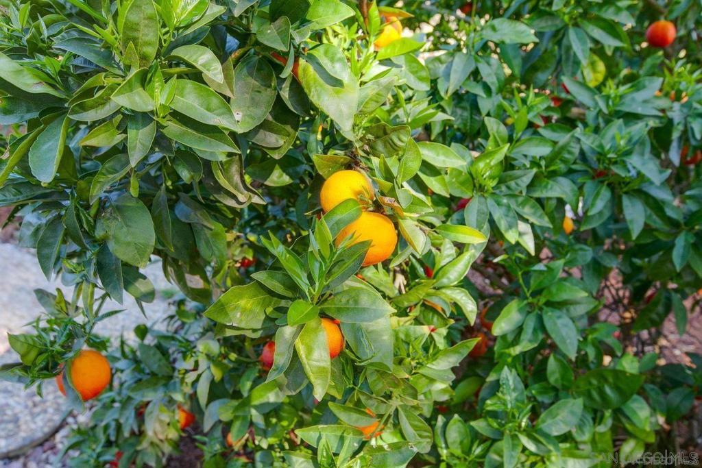 North Escondido - Residential