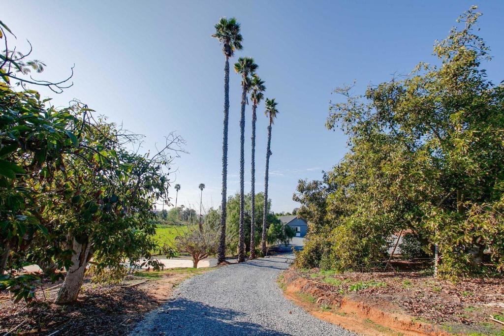 North Escondido - Residential