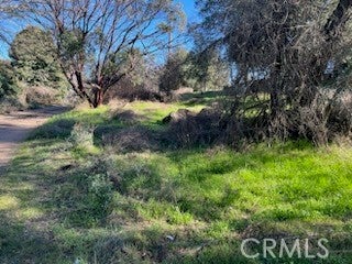 14212 Woodland Drive