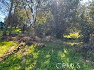 14212 Woodland Drive