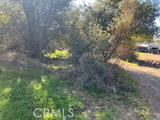 14212 Woodland Drive