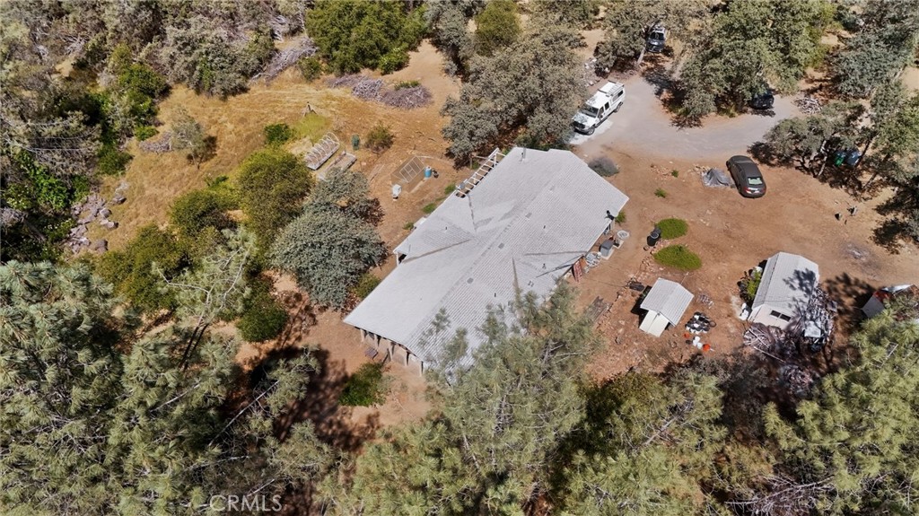 5040 Cougar Lane