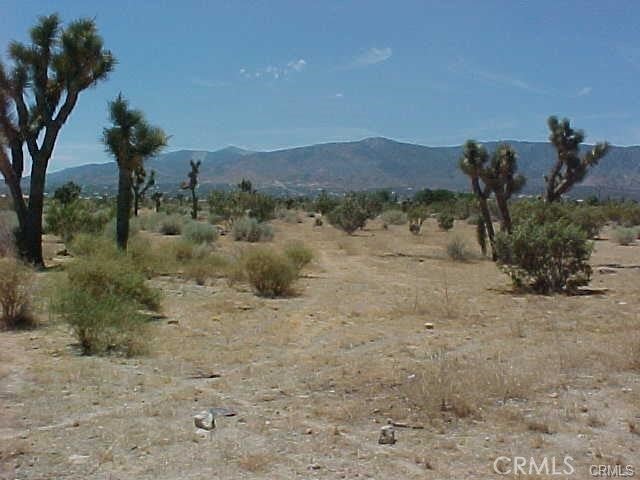 0 BEAR VALLEY RD/PRIMAVERA RD