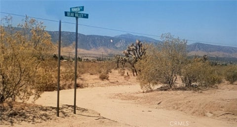 Photo of 0 BEAR VALLEY RD/PRIMAVERA RD, Pinon Hills, CA 92372 (MLS # IV26194518)