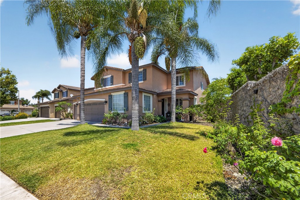 7050 Larkspur