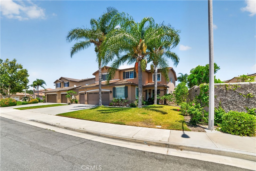 7050 Larkspur