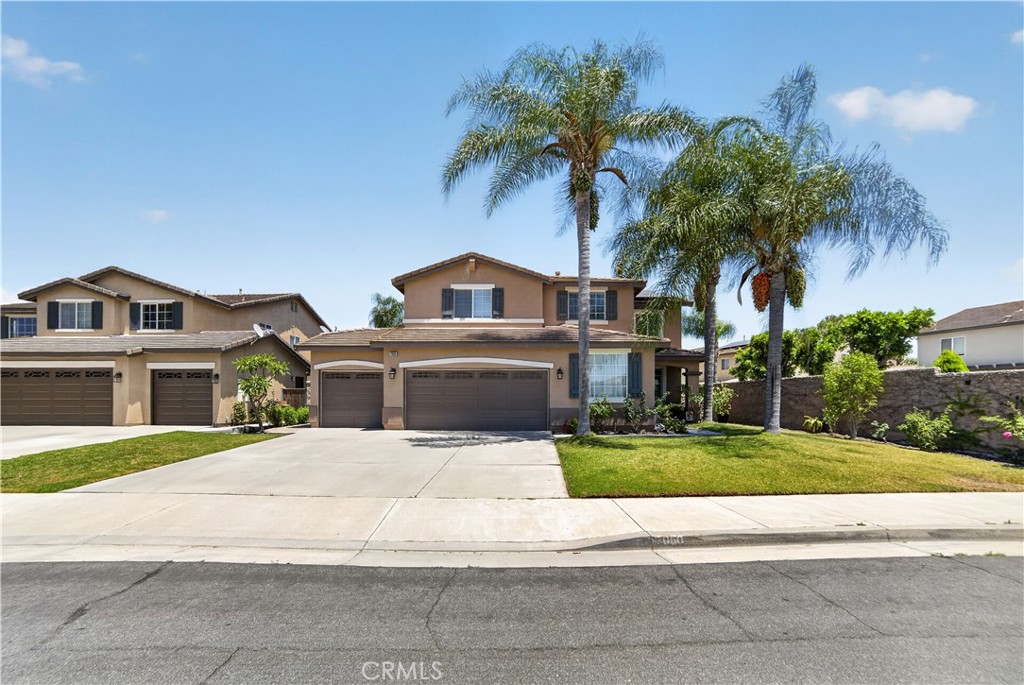 7050 Larkspur