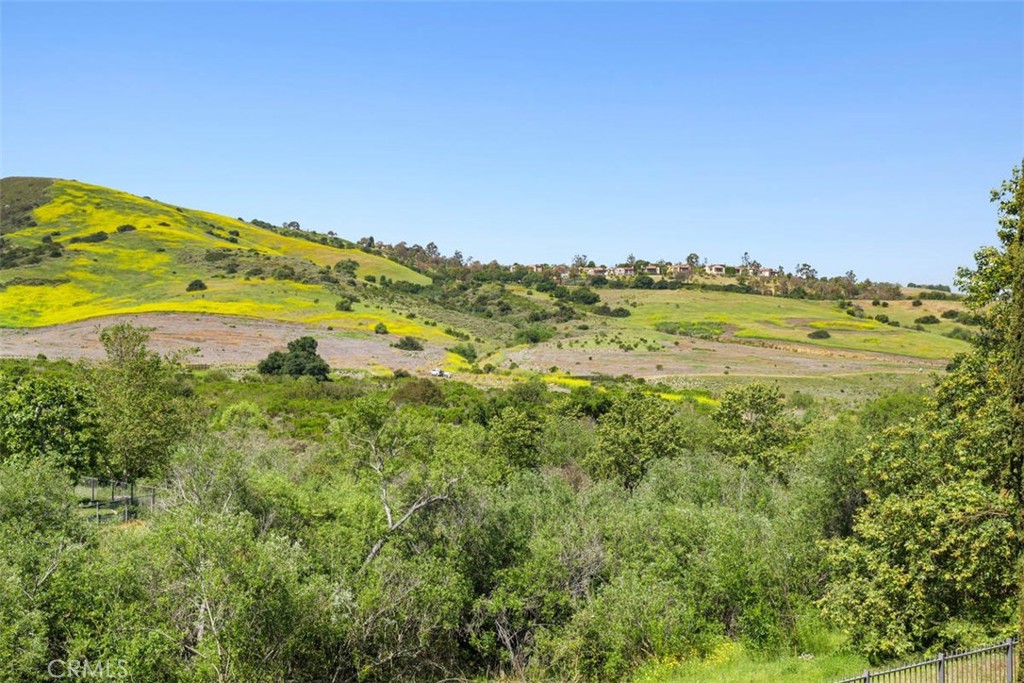 Shady Canyon Custom (SHDC) - Residential