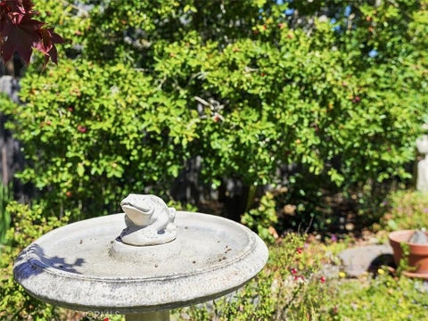 Tiny photo for 2512 Pineridge DR, Cambria, CA 93428 (MLS # SC26194475)
