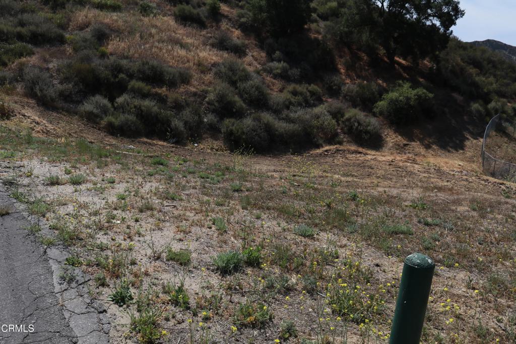 Custom Val Verde - Land