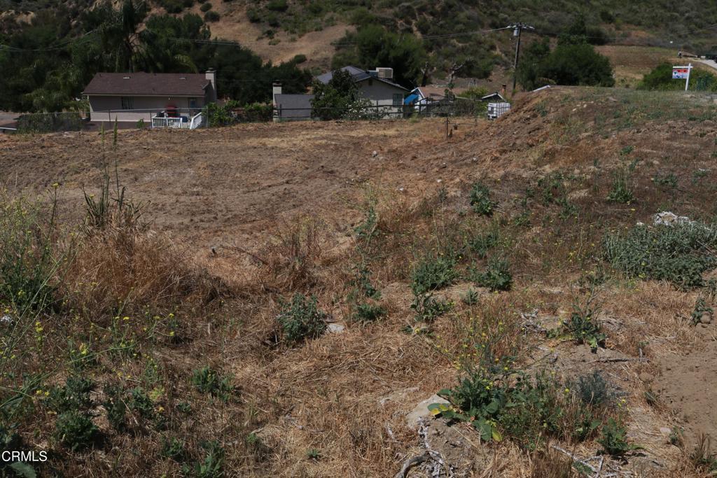 Custom Val Verde - Land