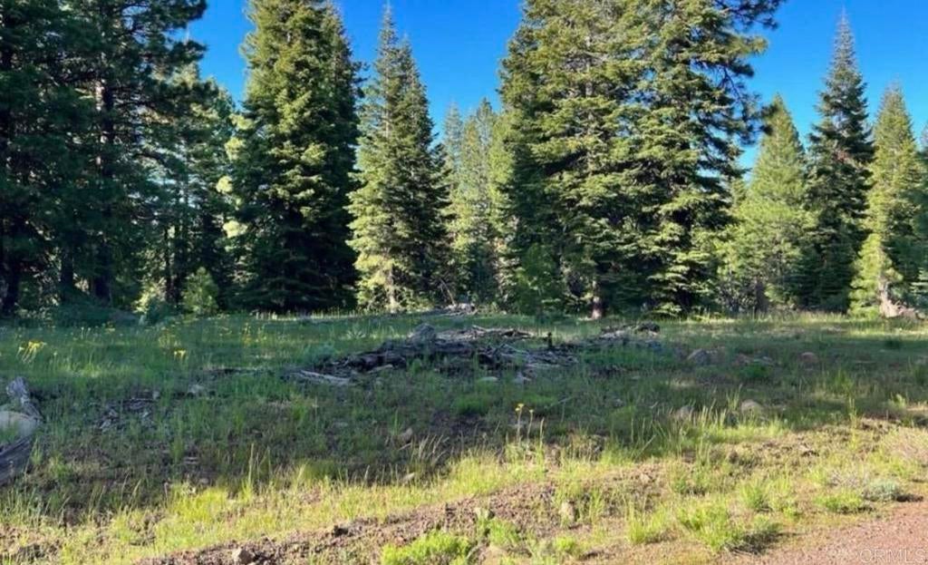 123 Glacier Dr Glacier Dr Alturas, CA 96101 Road